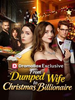 From Dumped Wife to Christmas Billionaire poster