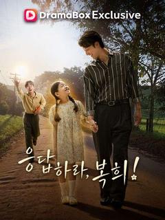 응답하라, 복희 포스터