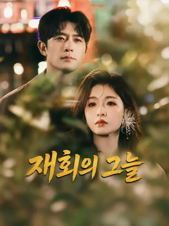 재회의 그늘 포스터