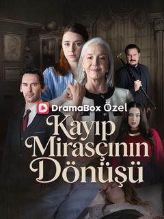Kayıp Mirasçının Dönüşü afişi