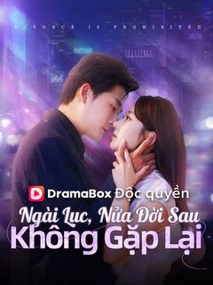 Poster Ngài Lục, Nửa Đời Sau Không Gặp Lại