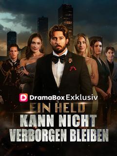 Poster zu Ein Held kann nicht verborgen bleiben