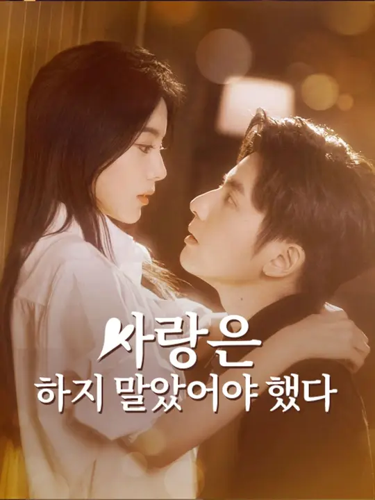 사랑은 하지 말았어야 했다 포스터