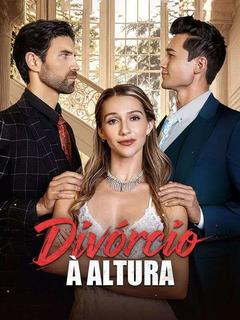 Pôster de Divórcio À Altura