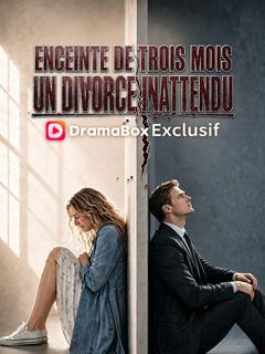 Affiche de Enceinte de Trois Mois, un Divorce Inattendu