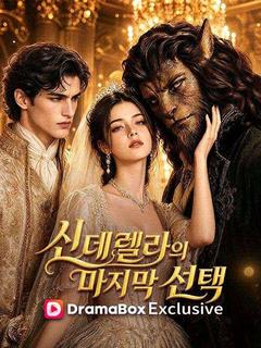 신데렐라의 마지막 선택 포스터