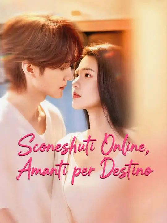 Locandina di Sconosciuti Online, Amanti per Destino