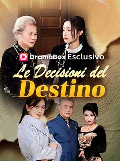 Locandina di Le Decisioni del Destino