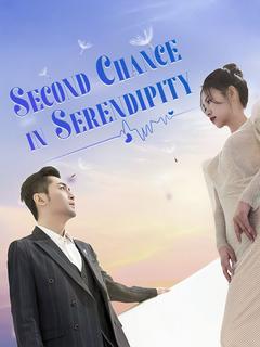 Second Chance in Serendipity poster