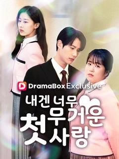 내겐 너무 무거운 첫사랑 포스터