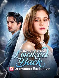 When He Finally Looked Back poster
