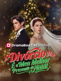 Pôster de Divórcio É o Meu Melhor Presente de Natal