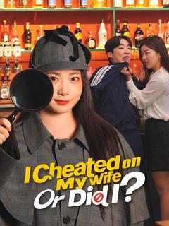 I Cheated on My Wife Or Did I? poster